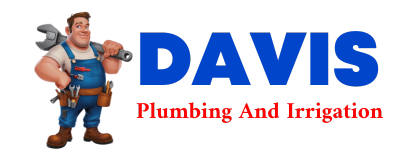 Trusted plumber in IVA